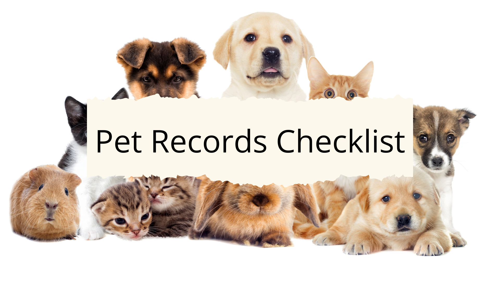 Pet Records Checklist